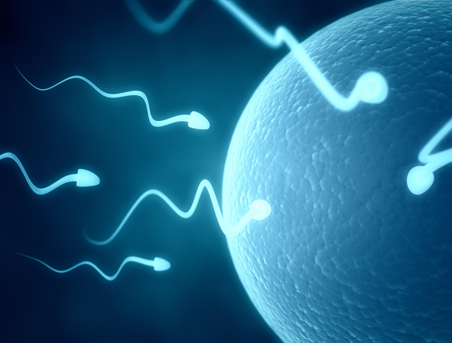 3D sperm selection on the horizon - Viera Fertility